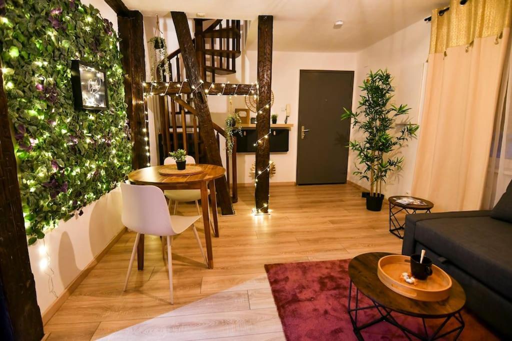 Appartement Le Petit Bali à Sélestat Extérieur photo